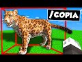 HO BARATO NELLA GARA DI COSTRUZIONI SU MINECRAFT