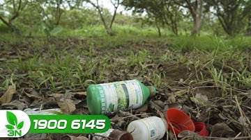 Lạm dụng thuốc trừ cỏ cho vườn cây ăn quả và những tác hại khôn lường