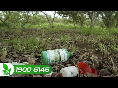 Video: Thuốc diệt cỏ là gì: Làm thế nào và khi nào nên áp dụng thuốc diệt cỏ trên cây