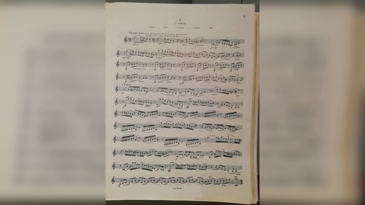 Enrico Sibona Etude 3 LA mineur Jeanjean (20 etudes progr