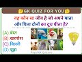 Gk question answers gk question gk hindi hindi gk payal gk quizone basic gk part1