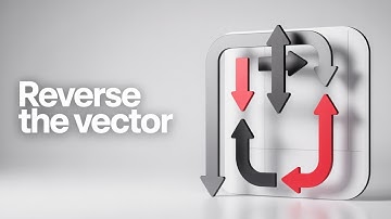 C++ que 5 REVERSE A VECTOR