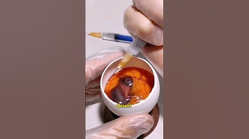 Hatching cracked duck eggs #animals #duck