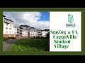 University of Limerick On Campus Accommodation | Cappavilla Village