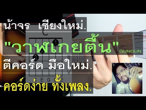 สอนกีต้าร์ วาฬเกยตื้น คอร์ดง่าย มากๆ มือใหม่ - น้าจร เชียงใหม่ (GUNGUN) Cover