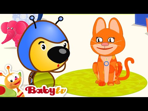 Ett kattljud 🐱 | Nyckelpigor som gör musik | Tecknat @BabyTVSV