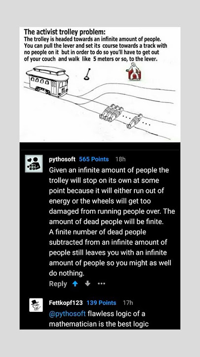 Activist Trolley Problem 😌