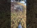 Kids in band are weird #relatable #funny #band