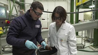 Could Butanext be our new alternative to fossil fuels