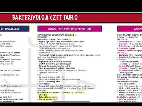 Video: Bütün enterobacteriaceae oksidaz mənfidir?