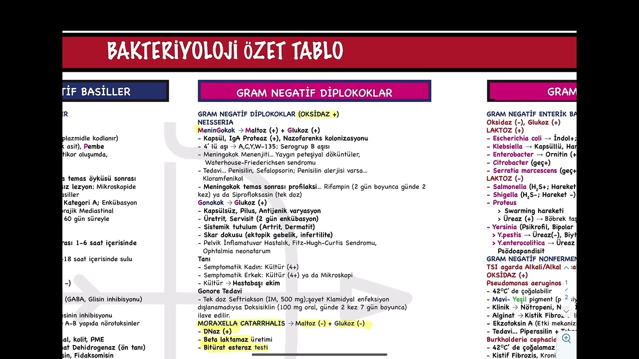 GRAM NEGATİFLER ÖZET