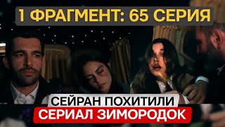 1 ФРАГМЕНТ! Турецкий сериал Зимородок 65 (147)  серия русская озвучка