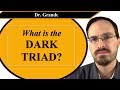 What is the Dark Triad?