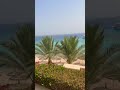 Reef Oasis Beach Resort  5⭐️ - Beach / Пляж