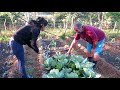 "CULTIVO A LA LIBERTAD", Habla Casimiro, Finca del Medio, Cuba-Slow Food Agroecología y Permacultura