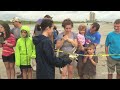 Sea Turtles released in Galveston