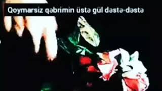 Status Ucun Qisa Vidiolari