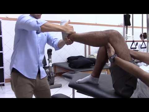 JOELHO Lesão do MENISCO Mobilização Articular com Movimento Clínica de Fisioterapia Dr. Robson Sitta