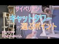 サイベリアンにおすすめキャットタワーのポイント【猫サイベリアン多頭飼い】
