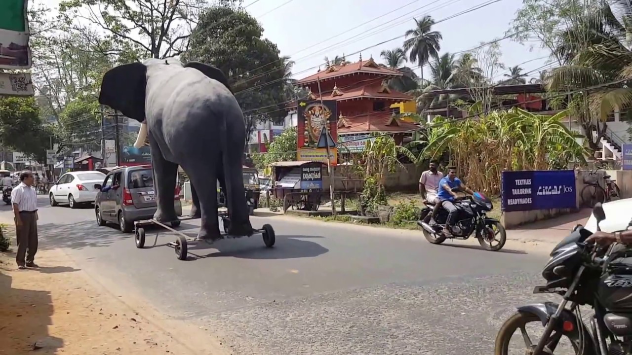 Dummy Elephant lifted by a car in  Guruvayoor