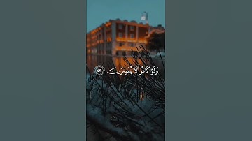 #اكسبلور #تلاوة_خاشعة #اكسبلور #تلاوة_هادئة #راحة_نفسية #قران_كريم #حالات_واتس #قرآن