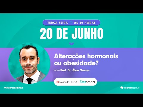 Vídeo: Estudo revela que um terço dos pais de animais de estimação não protege seus animais de estimação contra pulgas e carrapatos