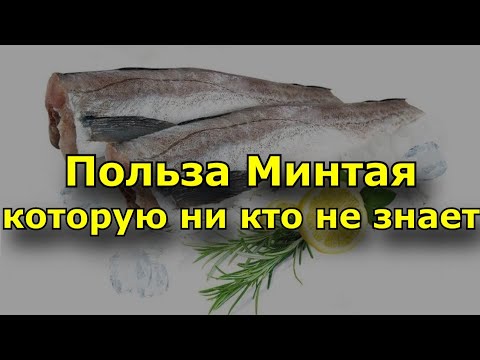 Видео: Чем питается минтай?