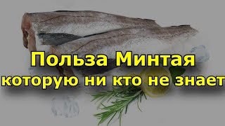 Польза Минтая Которую ни кто не знает. Состав и полезные свойства минтая