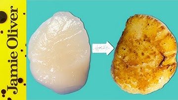 How To Sear Scallops | 1 Minute Tips | Bart’s Fish Tales