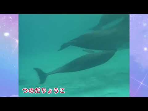 いるかのジャンプ