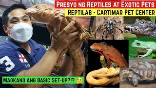 PRESYO NG REPTILES AT EXOTIC PETS SA CARTIMAR | Tortoise, Snake, Frog, Tarantula, etc