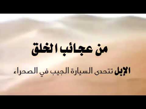 صراع الماضي والمستقبل وسائل النقل