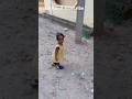 #kiddos #viralkids #viralkidscontent #viralkidsshorts #viralkidsstory #viralkidsvideo