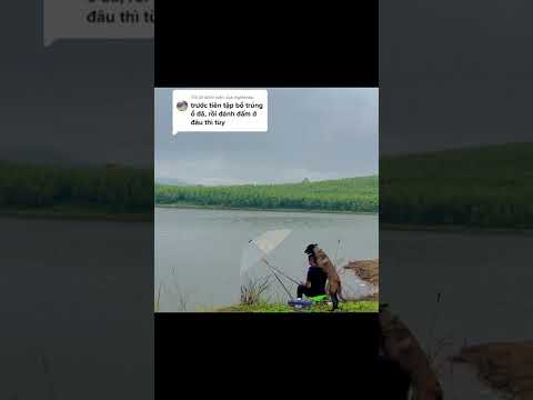 Video Văn ôn, võ luyện - youtube