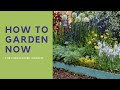 Your gardening year...the latest advice from top experts