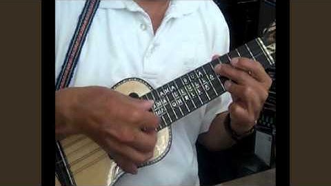 CHARANGO SIMPLE PART SEVEN