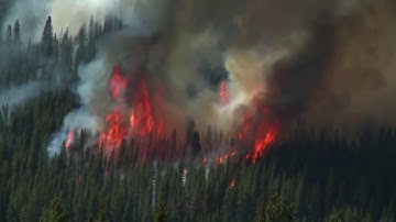 #LISTEN - Letter from Coronavirus - US English Version