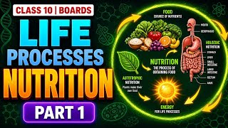 Class 10 Biology Chapter 1 Life Processes: Nutrition Part 1 | Full Chapter Basics in Oneshot 