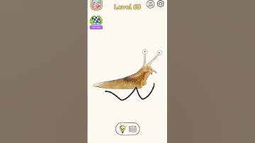 DOP: draw one part level 60