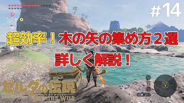 ゼルダの伝説木の矢無限入手