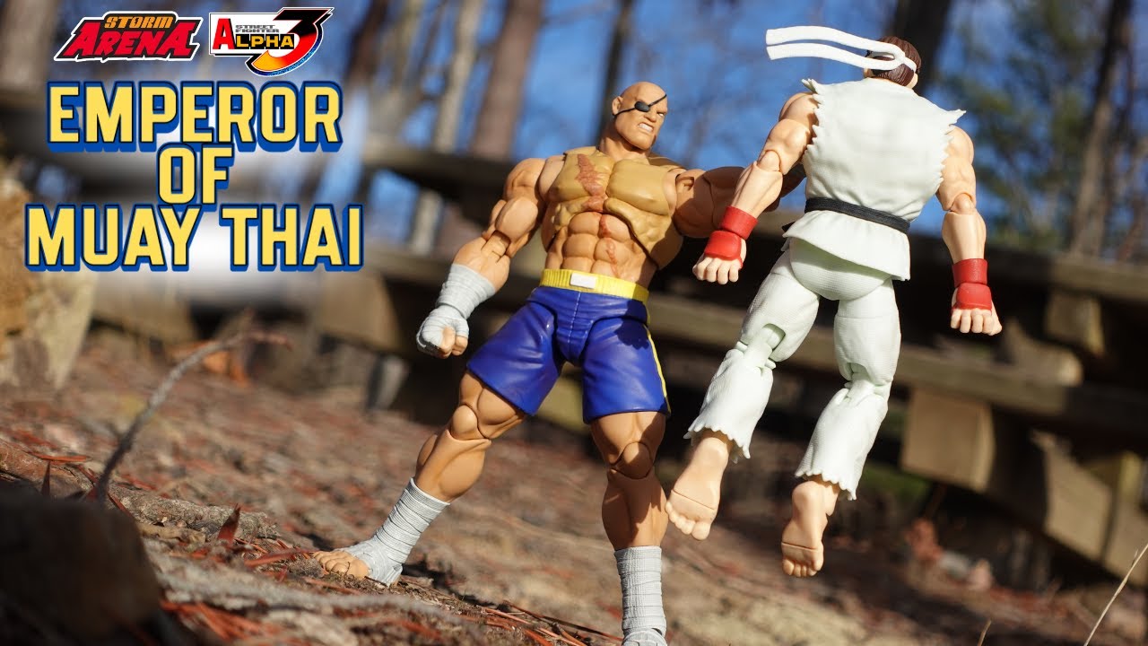 STORM ARENA STREET FIGHTER ALPHA 3 SAGAT NATURE REVIEW