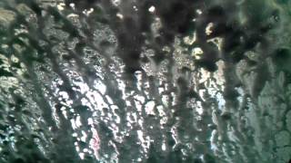 Mapco car wash Brentwood TN screenshot 3