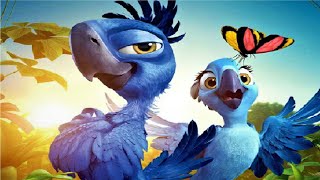 Rio Puzzle