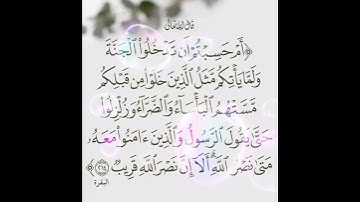 سورة البقرة الآية ( 214 )