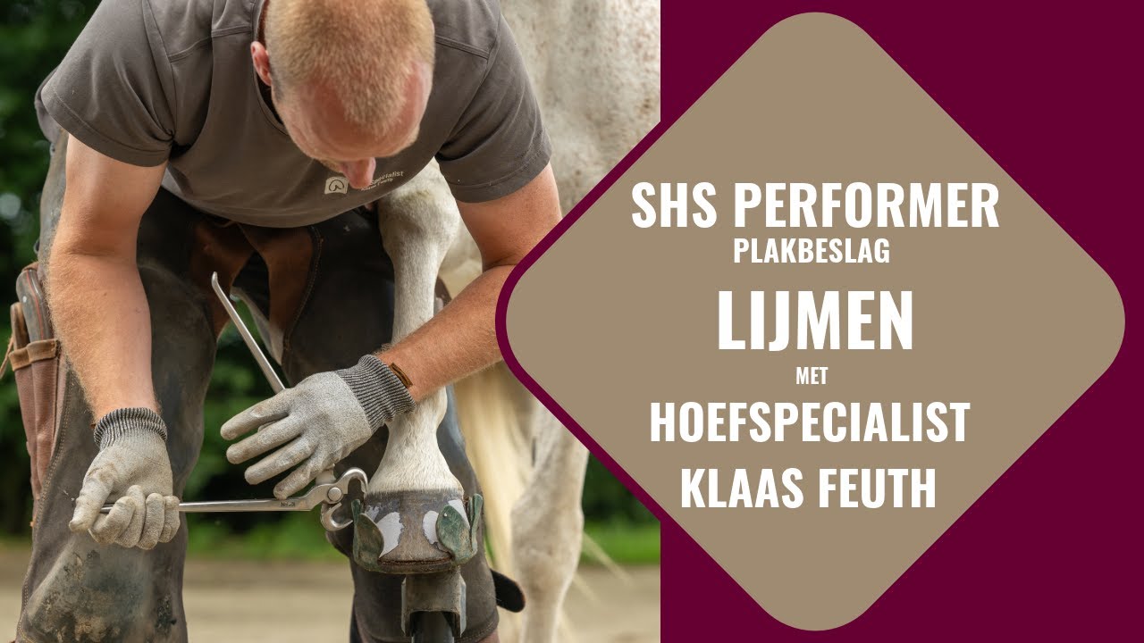 Hoefbeslag zonder nagels: SHS Performer lijmen bij een paard met Hoefspecialist Klaas Feuth