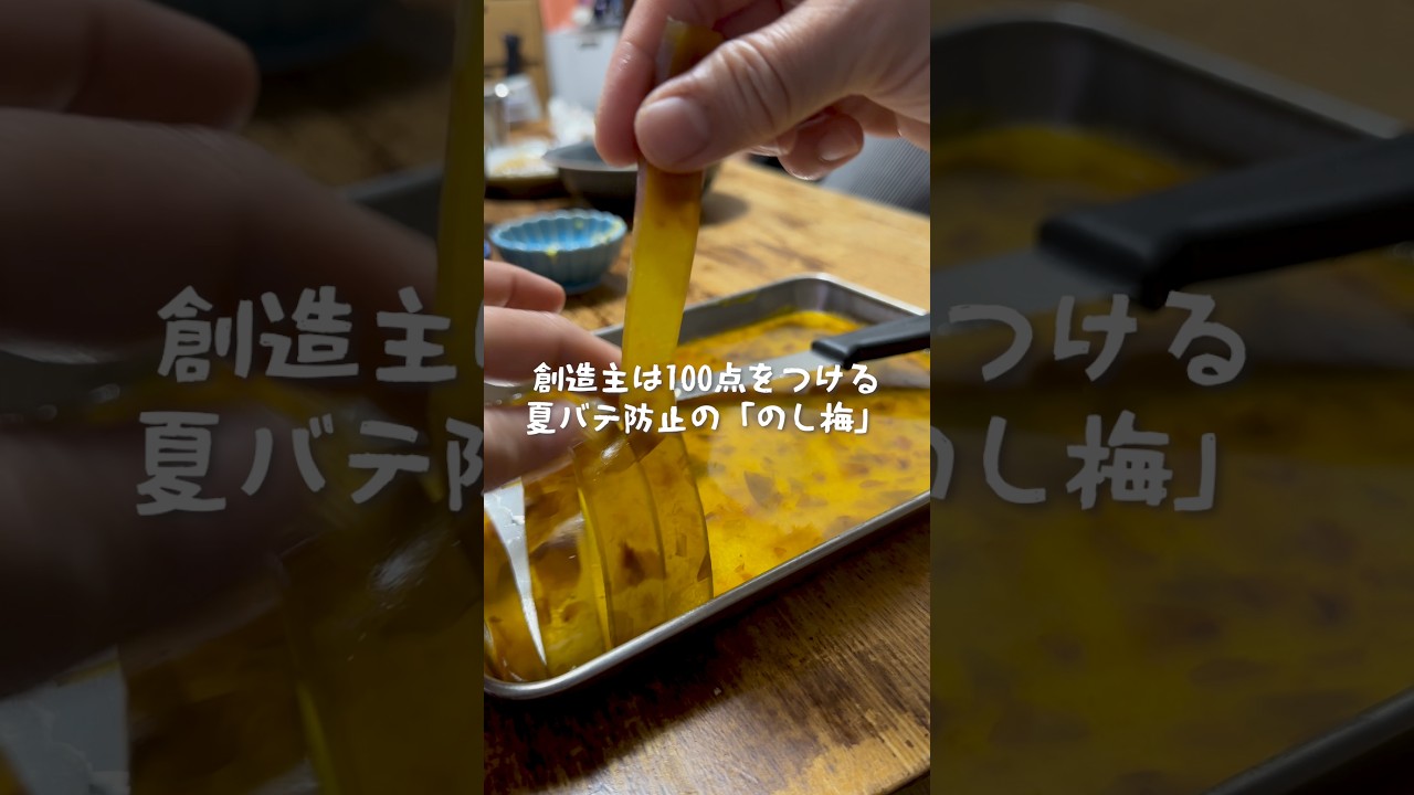 シュークリームかと思ったら、のし梅だった絶望#家族の日常 #のし梅 #夏バテ #夏休み #受験生