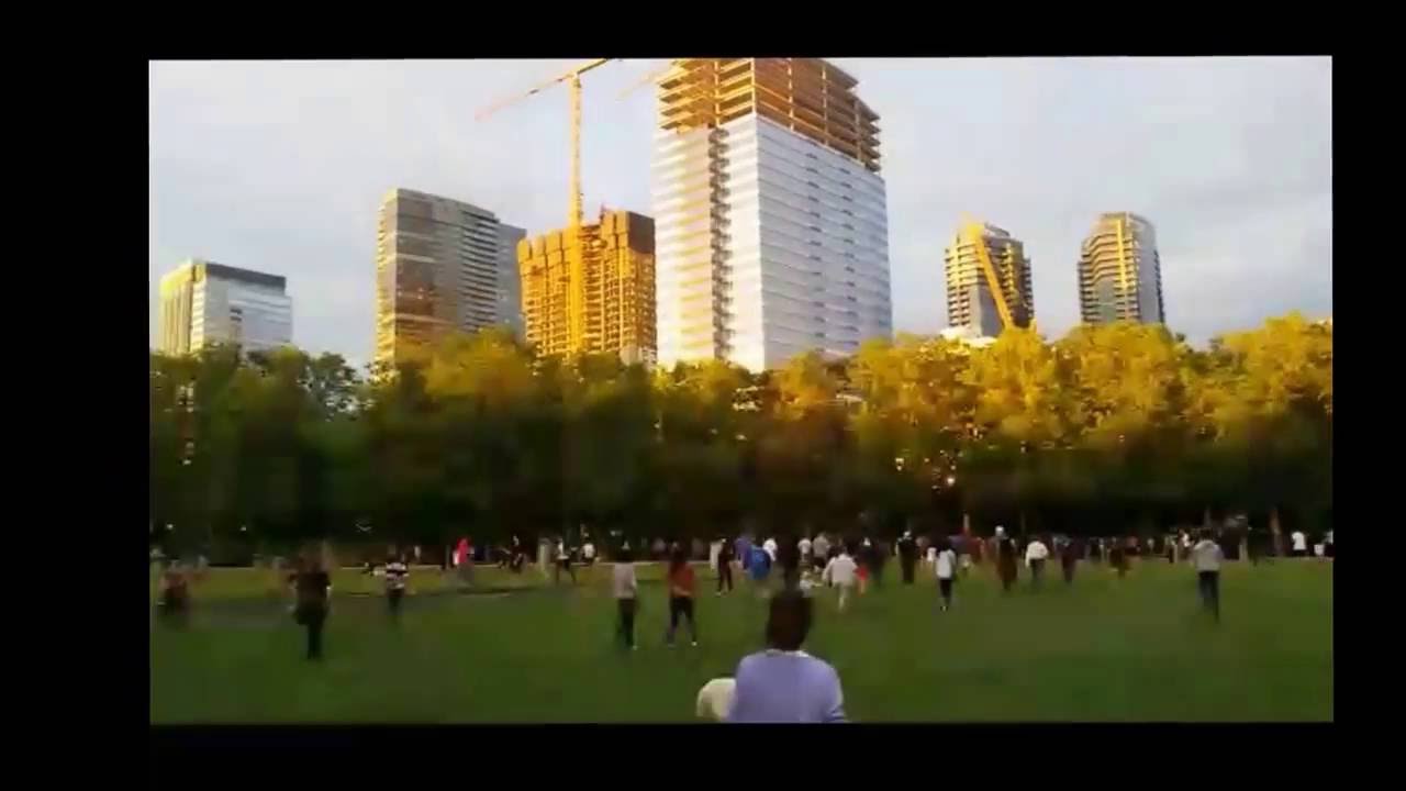 Pokemon Go mania in Bellevue downtown park 7/18/2016