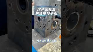 Celebrity Melt Pump Maintenance Manual  #extruder #Pump Wealth