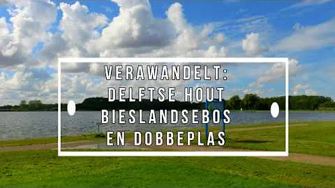 Delftse Hout, Bieslandse bos en Dobbeplas
