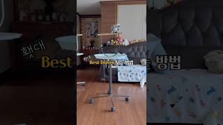 좌회전, 이보다 완벽할 새 없다. #김루이